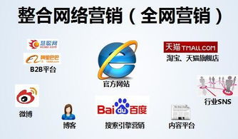 德城區(qū)關(guān)鍵詞快排公司,電商平臺(tái)見效快